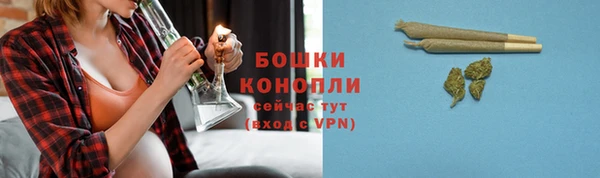 винт Инсар
