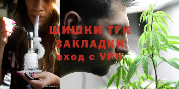 винт Инсар