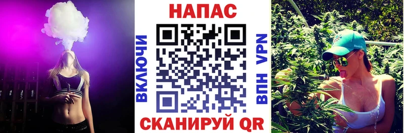 Купить закладки  Сосновый Бор  Шишки марихуана планчик 